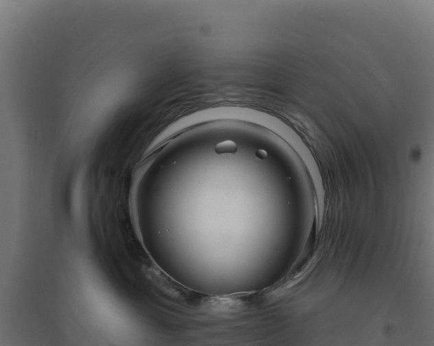 X0000094770429200711241321