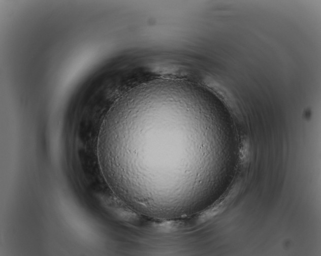 X0000094770430200711241321