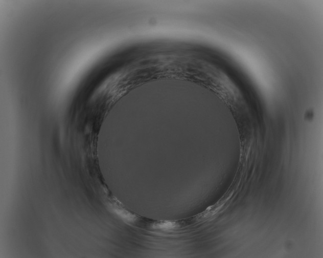 X0000094770431200711241321