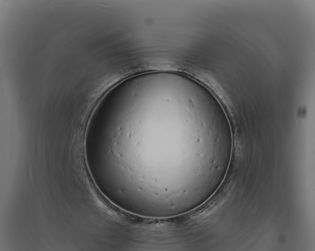 X0000094770433200711241320