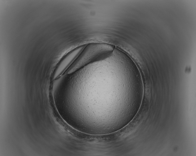 X0000094770434200711241320