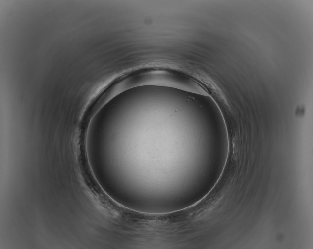 X0000094770436200711241320