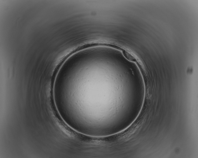 X0000094770437200711241320