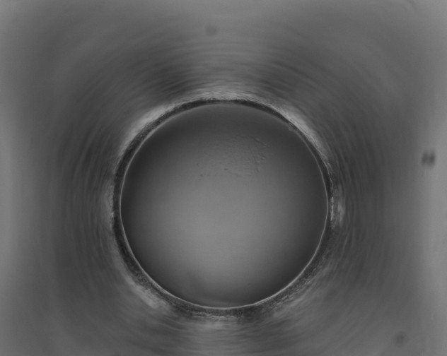 X0000094770438200711241320