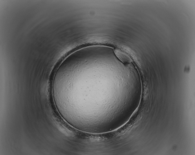 X0000094770439200711241320