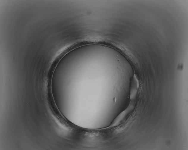 X0000094770440200711241320