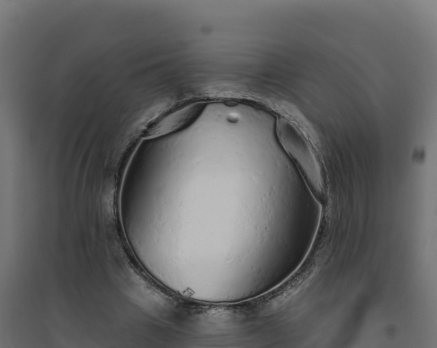 X0000094770441200711241320