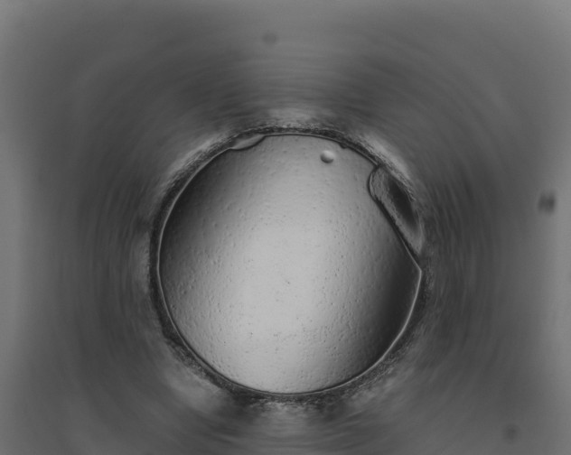 X0000094770442200711241320