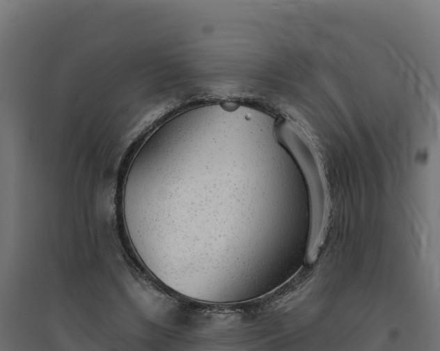 X0000094770443200711241320