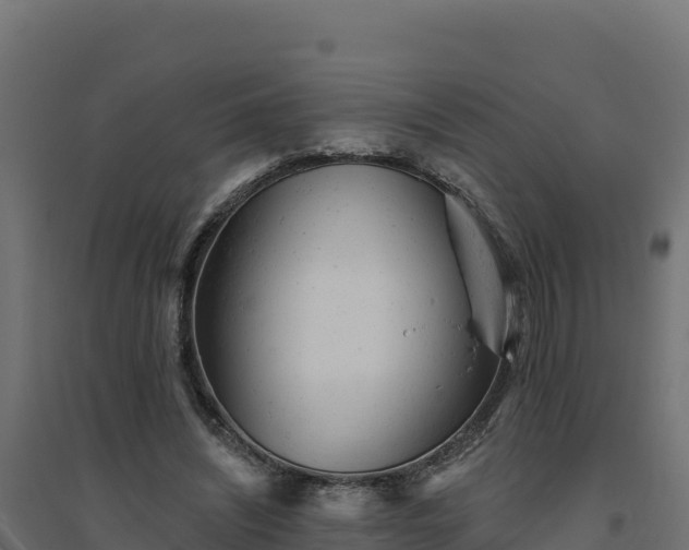 X0000094770444200711241320