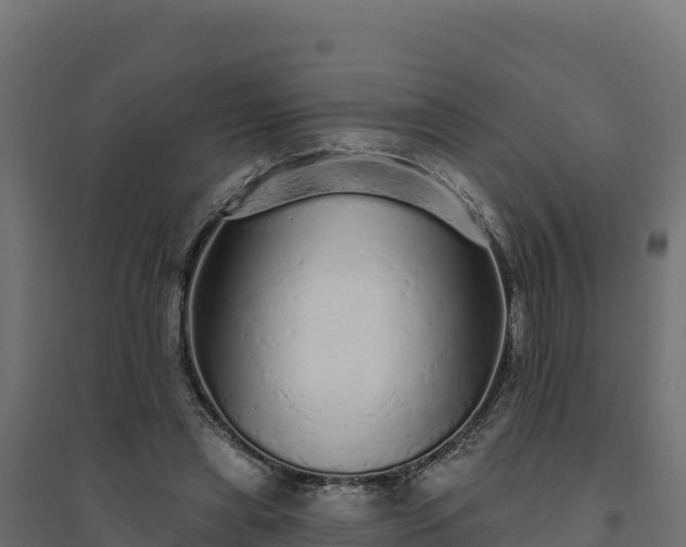 X0000094770445200711241320