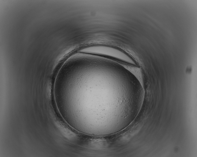 X0000094770446200711241320