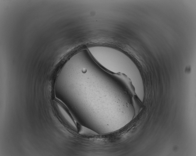 X0000094770448200711241320