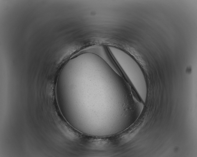 X0000094770449200711241320