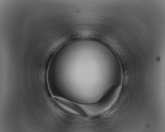 X0000094770450200711241320