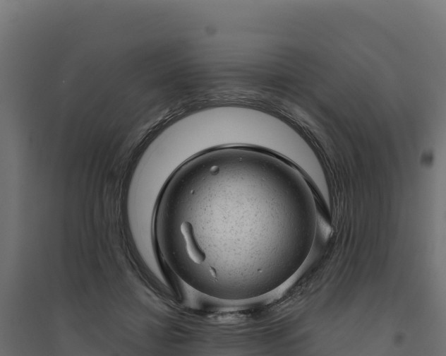 X0000094770452200711241320