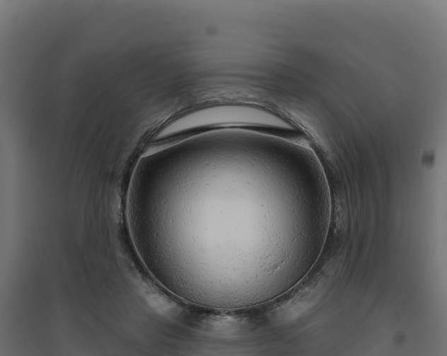 X0000094770453200711241320