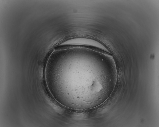 X0000094770454200711241320