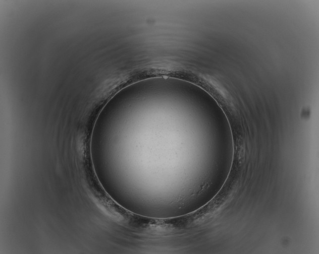 X0000094770455200711241320