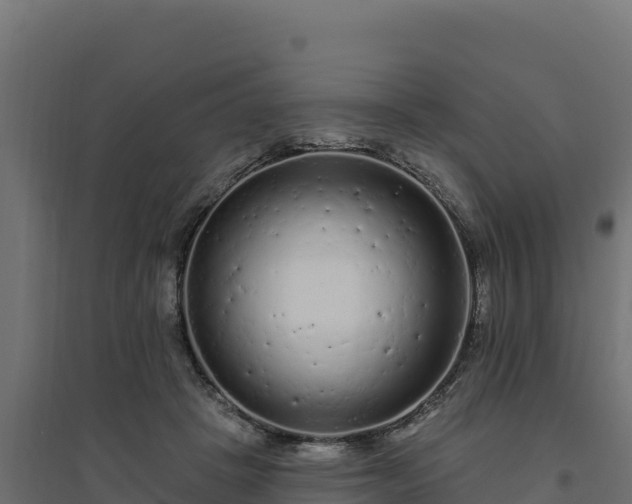 X0000094770457200711241320