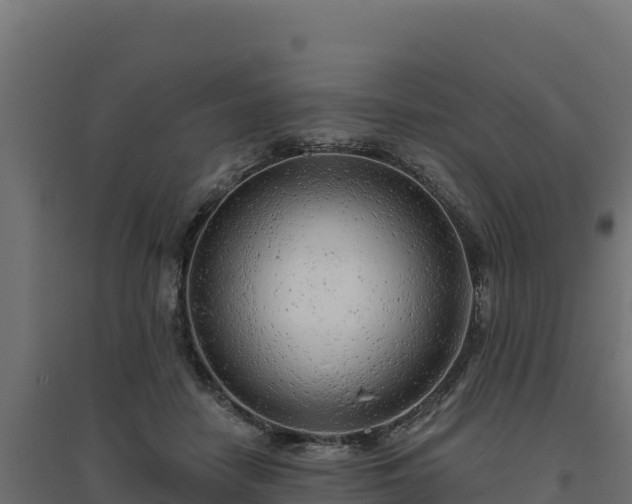 X0000094770458200711241320