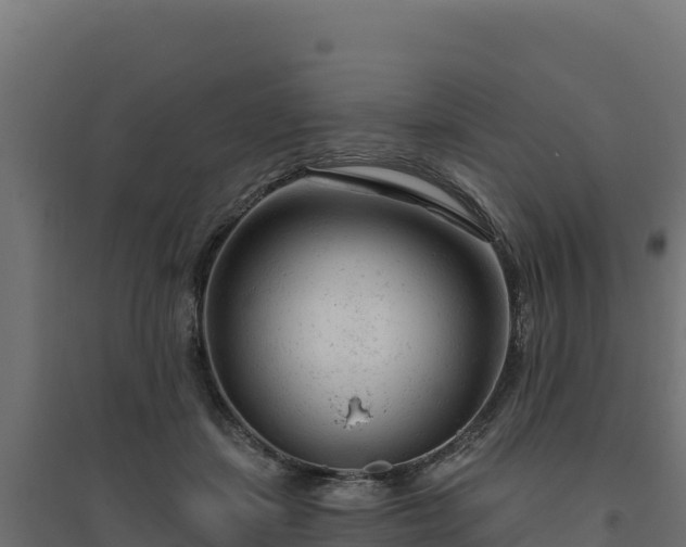 X0000094770459200711241320