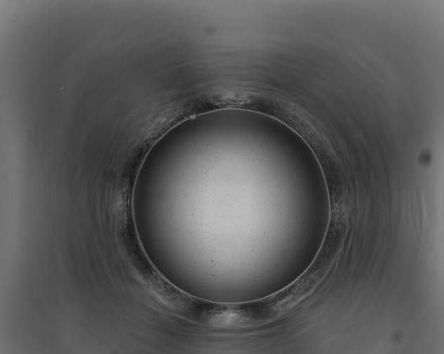 X0000094770460200711241320