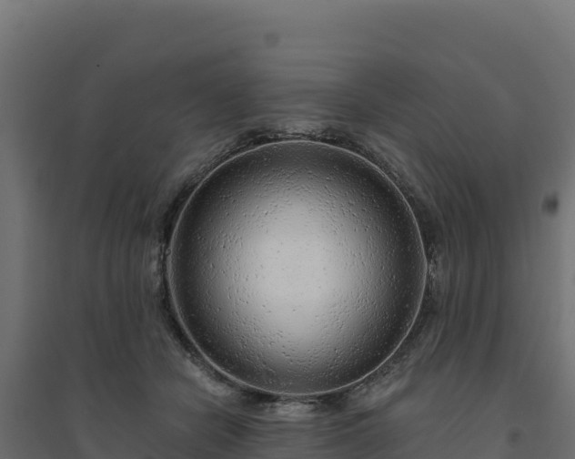 X0000094770462200711241320