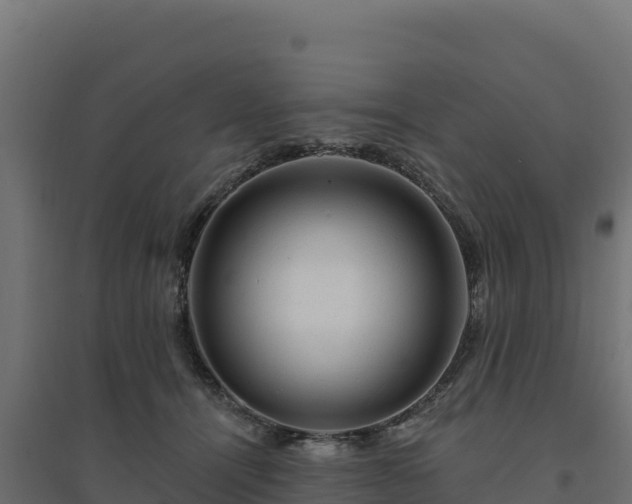 X0000094770464200711241320