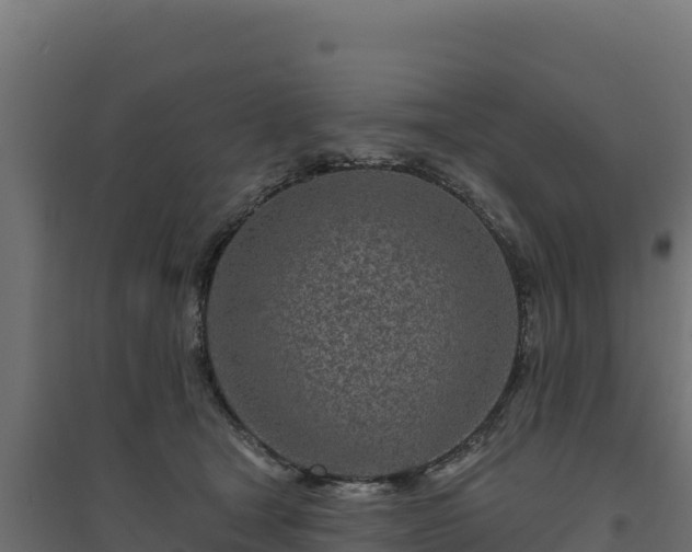 X0000094770465200711241320