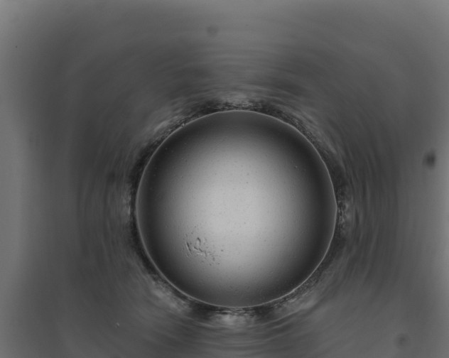 X0000094770466200711241320