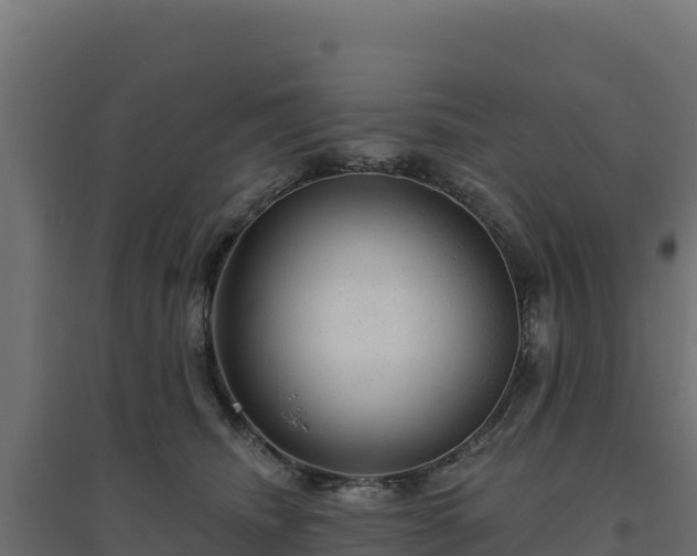 X0000094770468200711241320