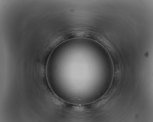 X0000094770469200711241321