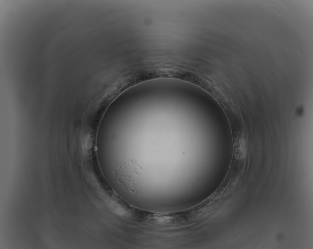 X0000094770472200711241321