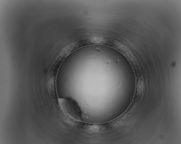 X0000094770473200711241321