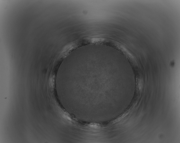 X0000094770475200711241321