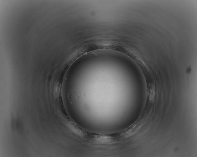 X0000094770476200711241321