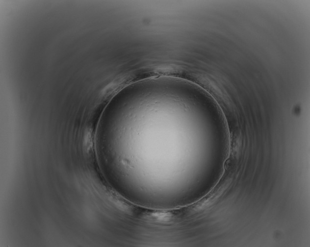 X0000094770478200711241321