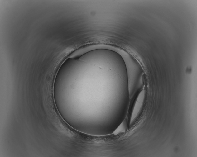 X0000094770481200711241320