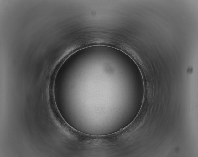 X0000094770482200711241320