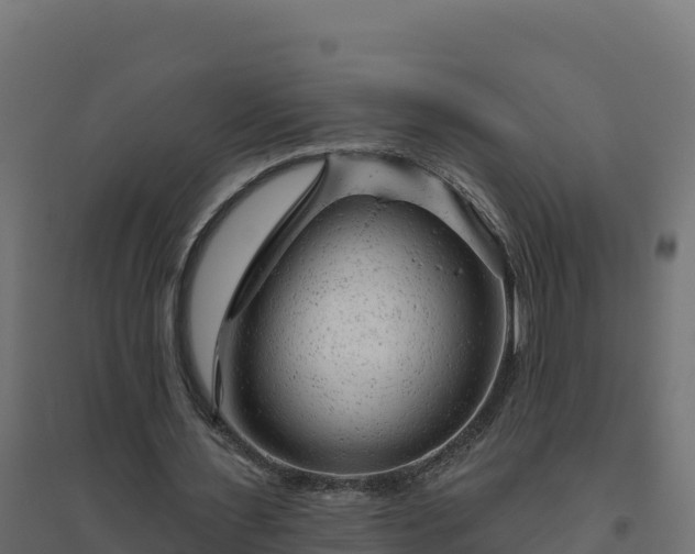 X0000094770483200711241320