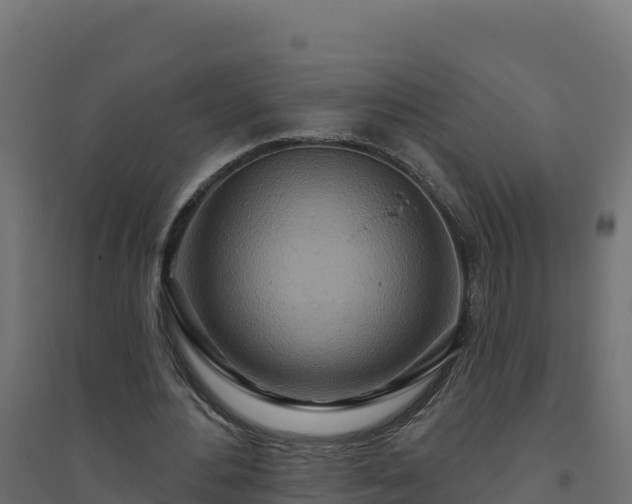 X0000094770484200711241320