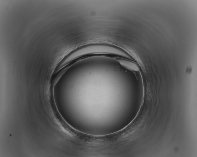 X0000094770485200711241320