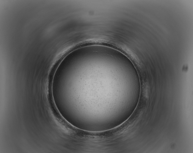 X0000094770486200711241320