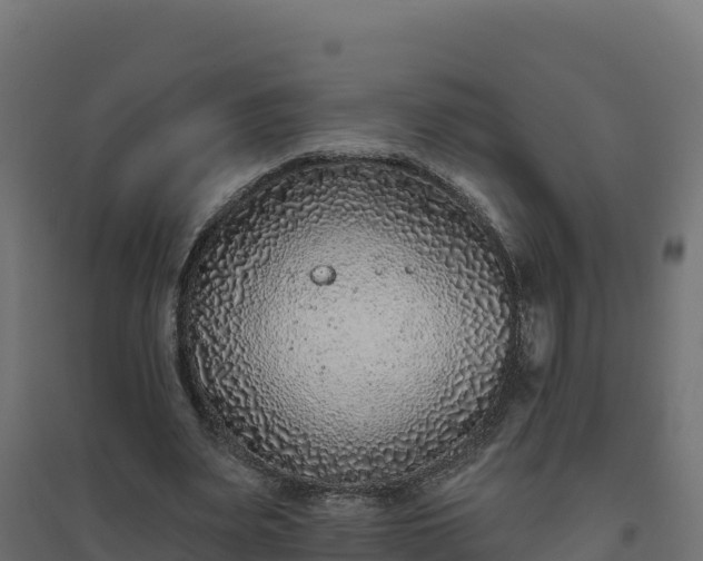 X0000094770487200711241320