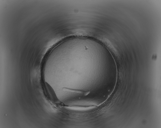 X0000094770488200711241320