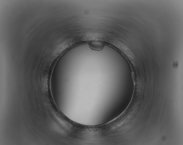 X0000094770489200711241320