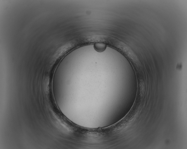 X0000094770490200711241320