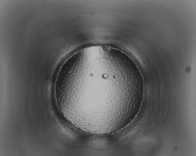 X0000094770491200711241320