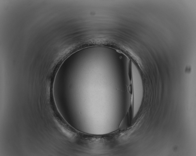 X0000094770493200711241320